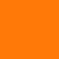 Lilly's HTV - Neon Orange