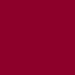 Lilly's HTV - Maroon